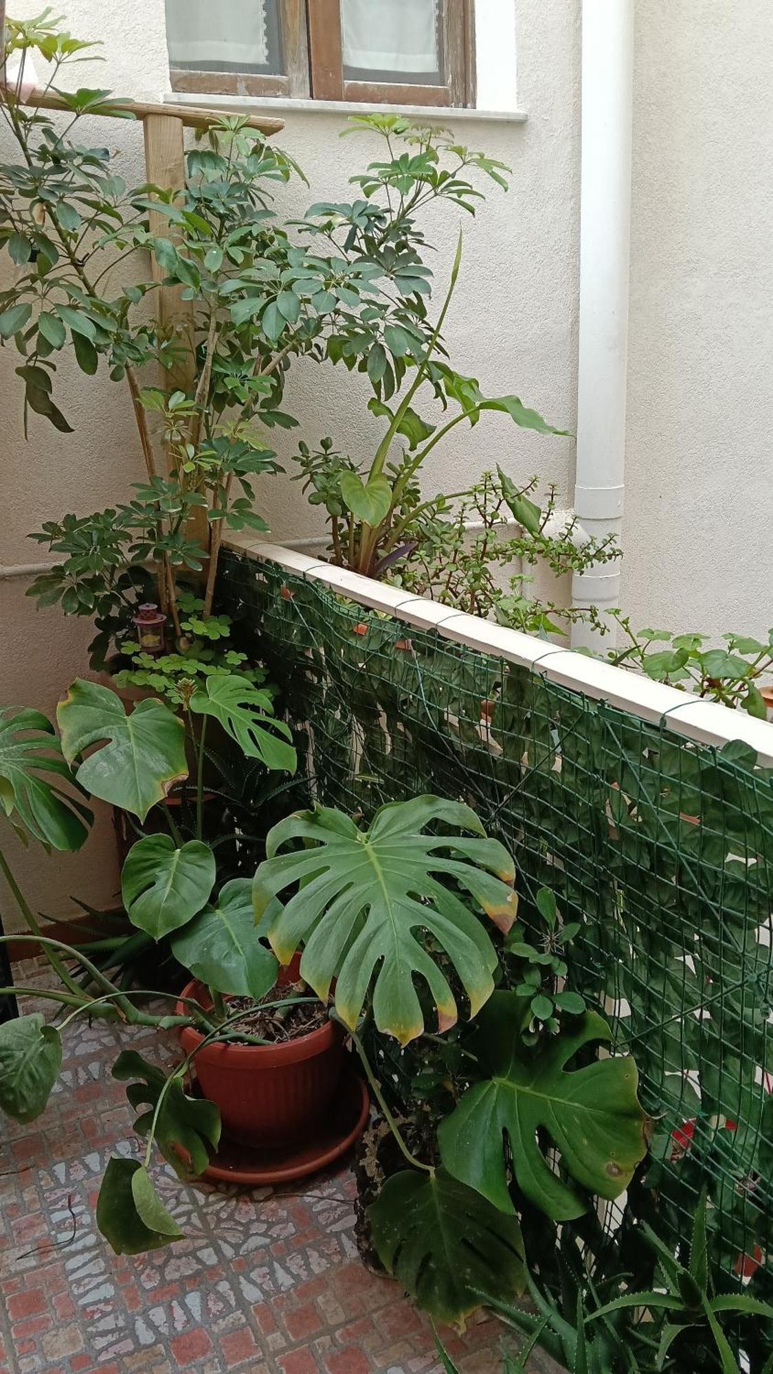 אוגוסטה Very Smail House מראה חיצוני תמונה